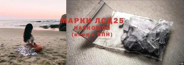 прущие грибы Алексин
