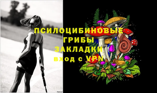 прущие грибы Алексин