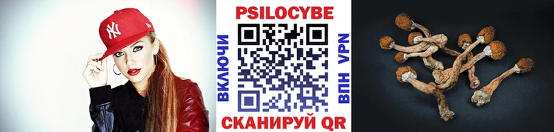 Галлюциногенные грибы Psilocybe  Дно 