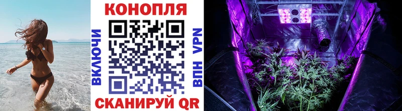 omg   Дно  Конопля конопля  что такое  